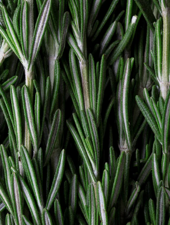 Deep Cleanse Scalp Scrub, Rosemary & Mint 170 ml